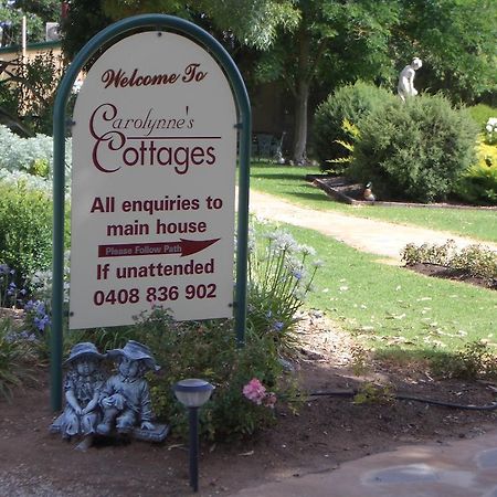 Carolynnes Cottages นาราคอร์ท ภายนอก รูปภาพ